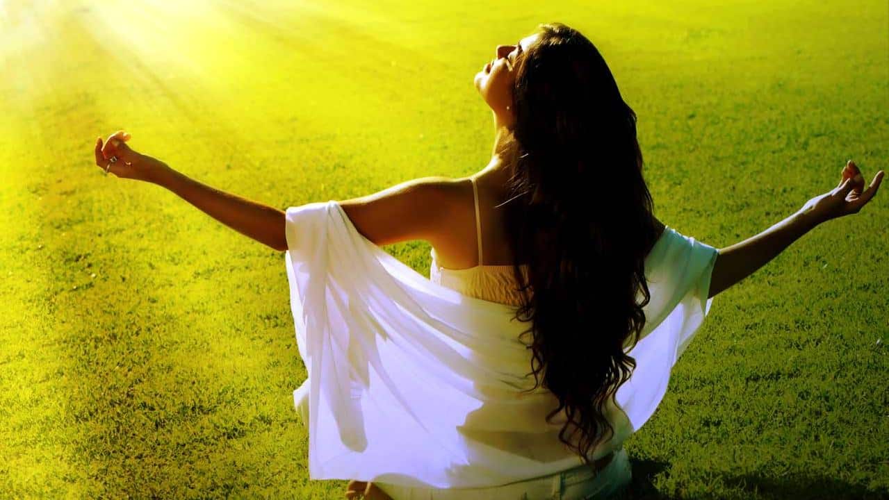 Featured image for “Regulatpro Active DTX Detoxkur Testbericht”