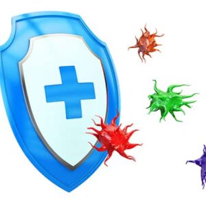 Eine grafische Darstellung eines Schildes und von Viren (Immunabwehr)