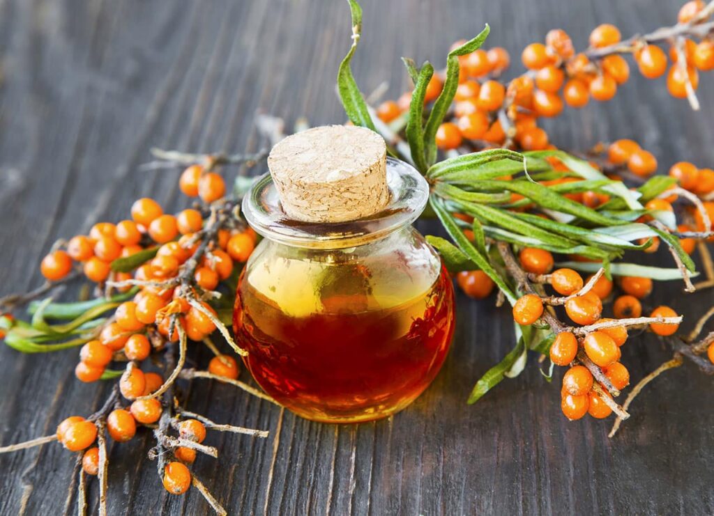 Sanddornbeeren und ein Glas mit Sanddornöl