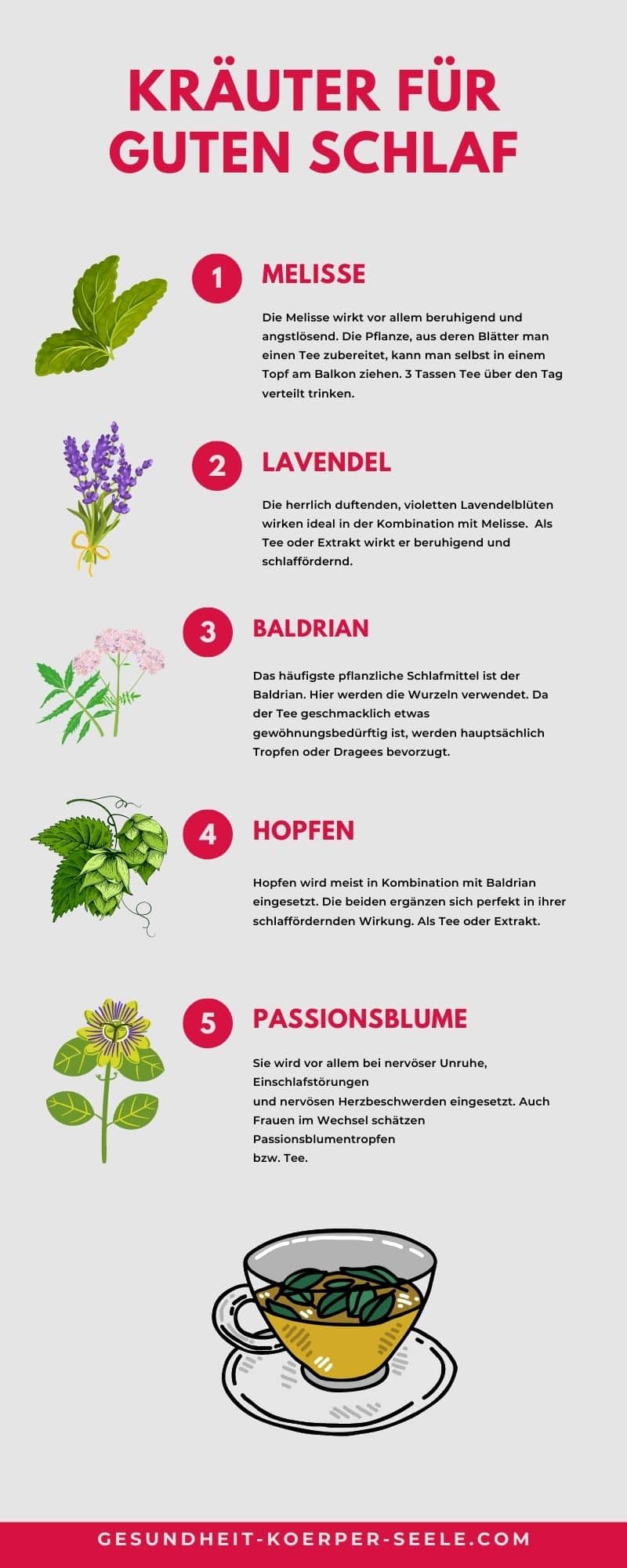 Infografik zu den Top 5 Kräutern für Nerven und guten Schlaf.