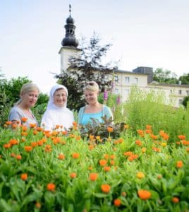 Kräutergarten vom Curhaus Bad Mühllacken