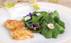 Mittagessen im Curhaus Bad Mühllacken