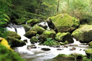 Fluß im Kurpark vom Curhaus Bad Mühllacken
