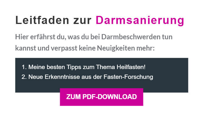 Banner mit dem Text Leitfaden zur Darmsanierung