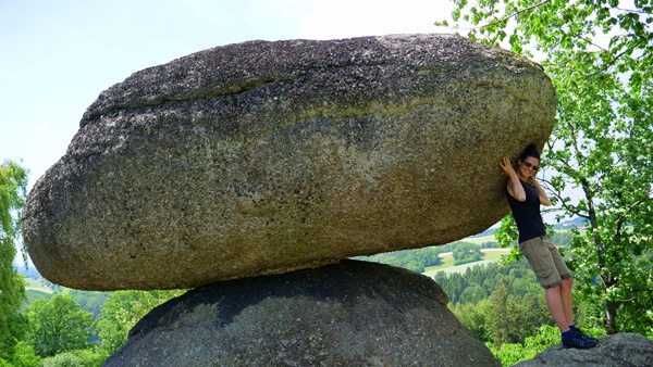 Der Schwammerling in der Nähe von Bad Zell