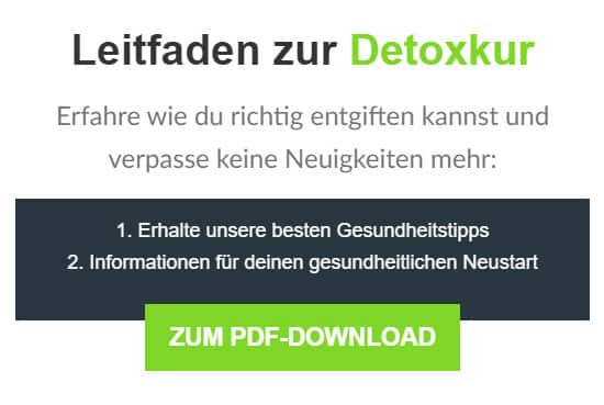 Schriftzug Leitfaden zur Detoxkur