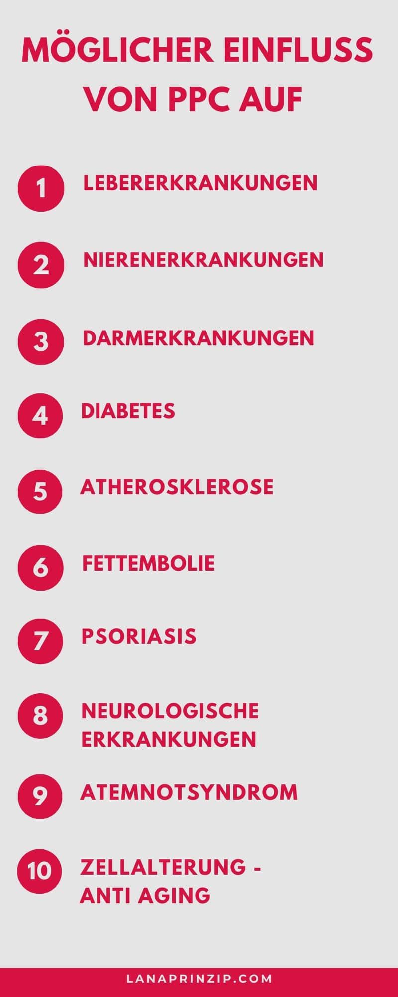 Phosphatidylcholine (PPC) Infografik zum Thema Wirkungsweise