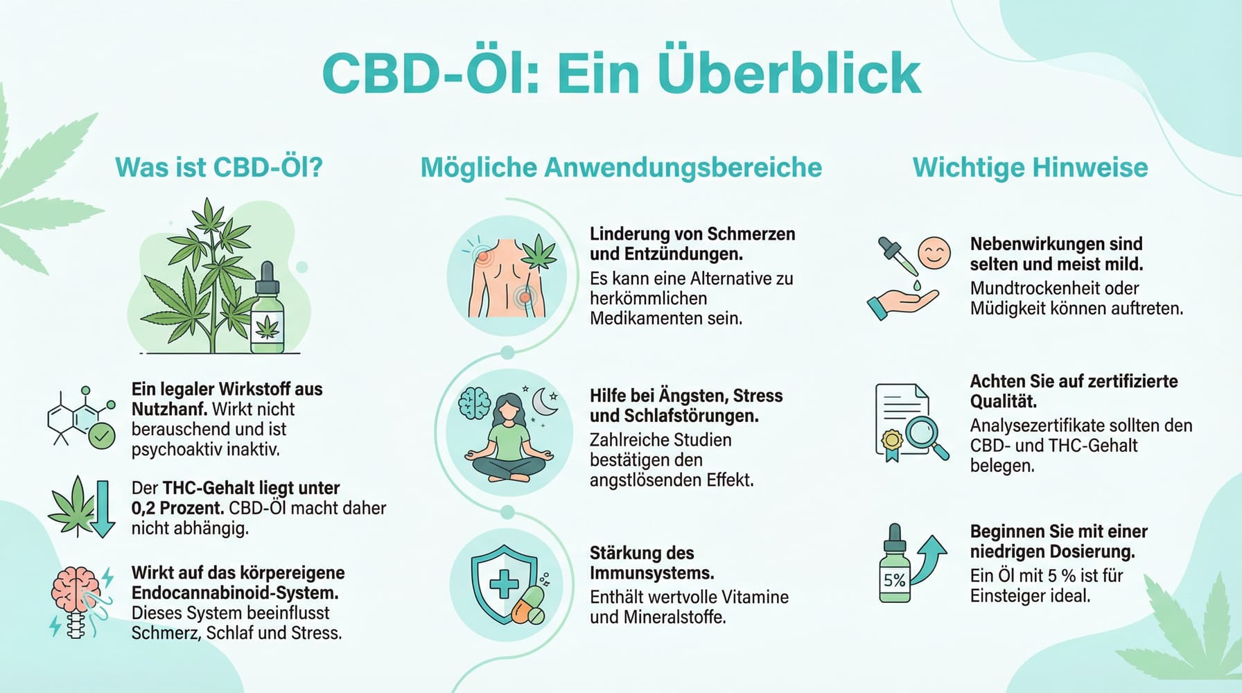 Informative Grafik über CBD-Öl: Nutzen, Anwendungen und wichtige Richtlinien verständlich erklärt.