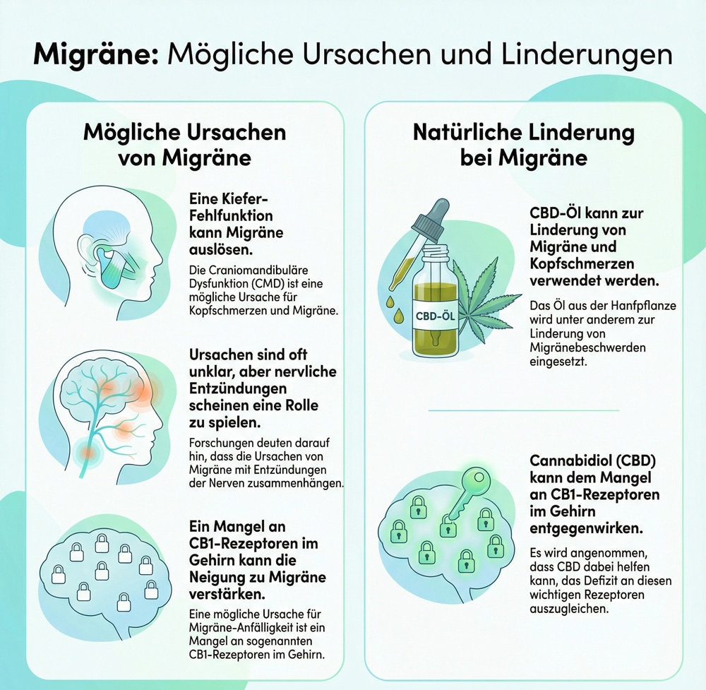 Infografik zu Ursachen und Linderung von Migräne mit CBD-Öl und entzündlichen Prozessen.
